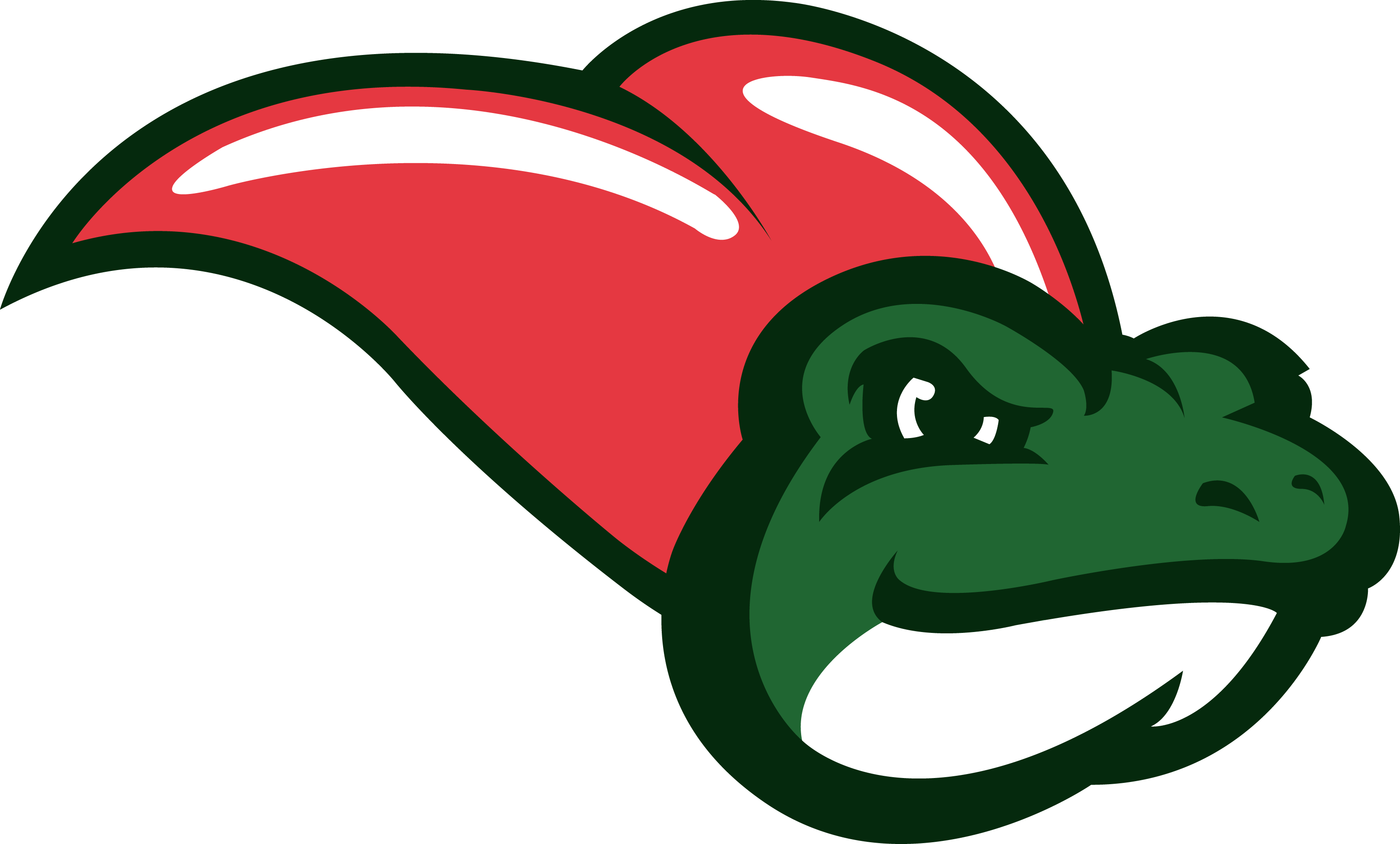 Toad Lickers logo